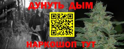 шишки Будённовск